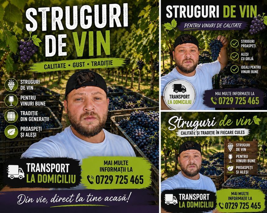 Struguri de vin  p