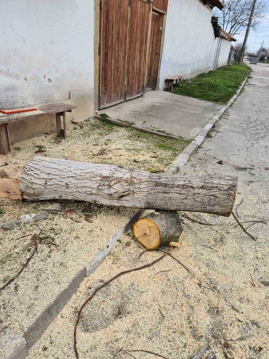 Продавам ствол от орех