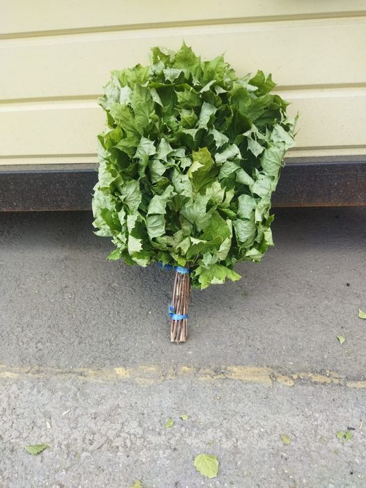 Веники банные, от 1500тг