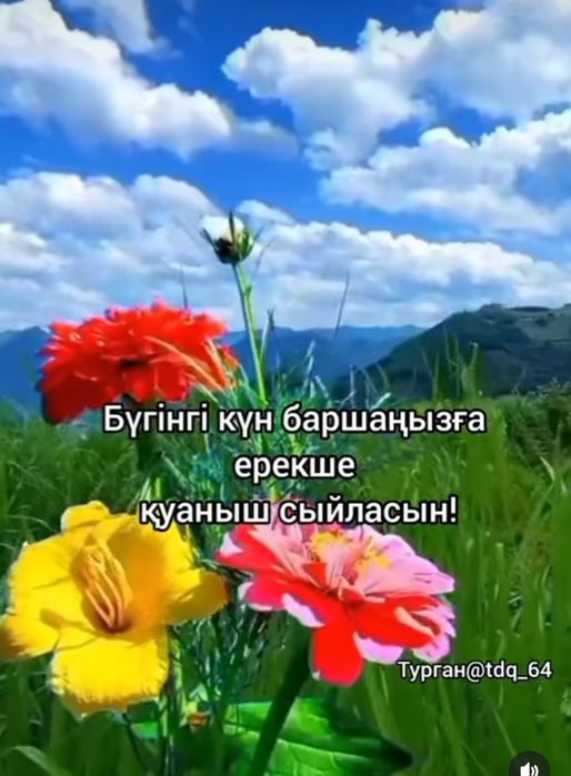 Красота и здоровье