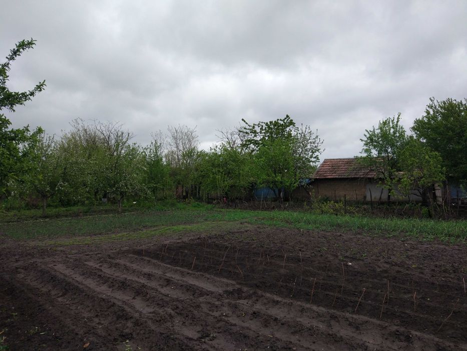 Vand casă bătrânească cu teren generos de ~2000 mp | Comuna Traian, Teleorman