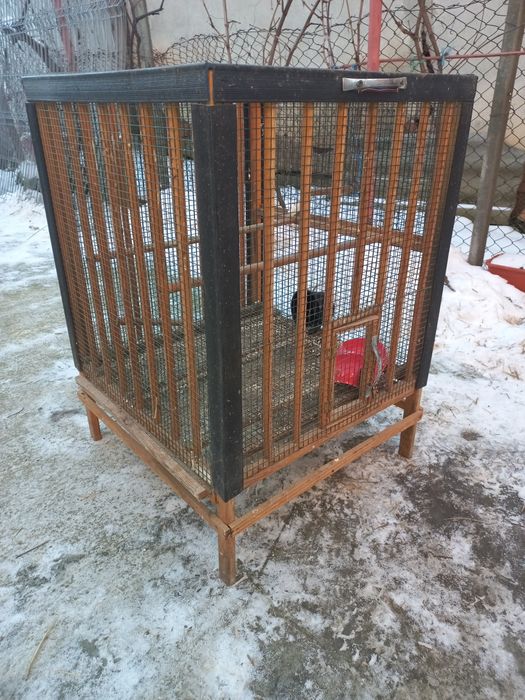 Voliera pt păsărele