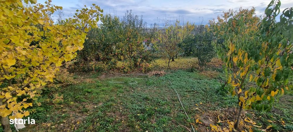 Teren intravilan imprejmuit la intrare in Curtesti