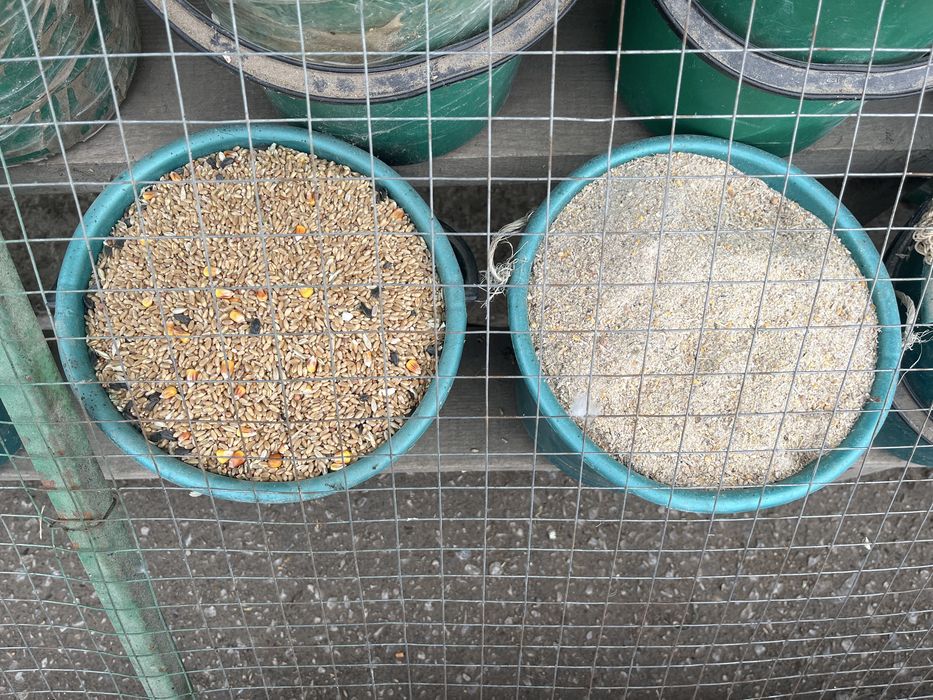 Жем арпа бидай отруби