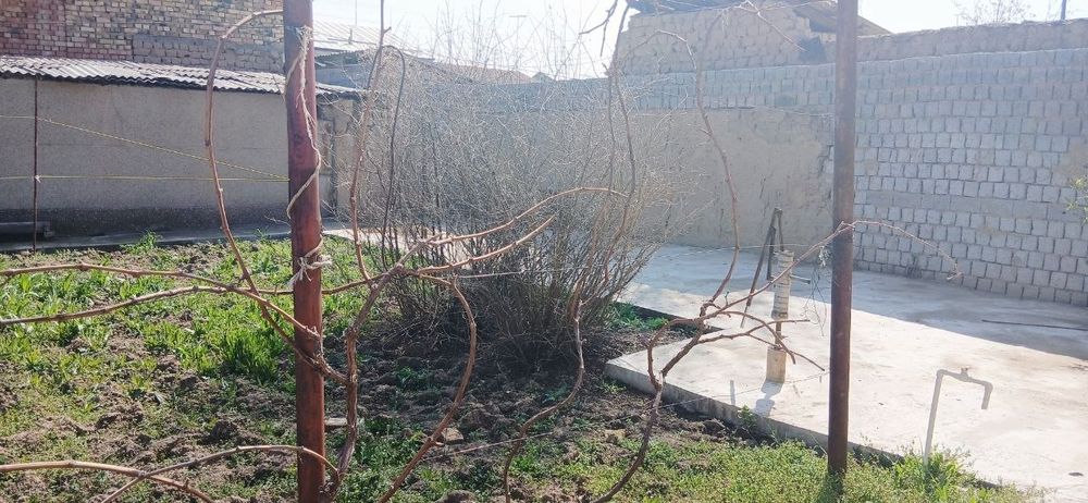 Продается земельный участок Байткургон