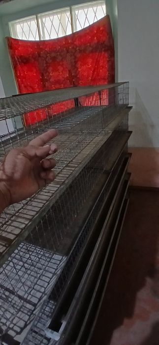 Bedana qafasi 250talik