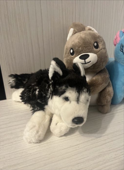 3 plusuri.