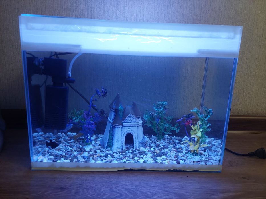 Аквариум в хорошем состояние.