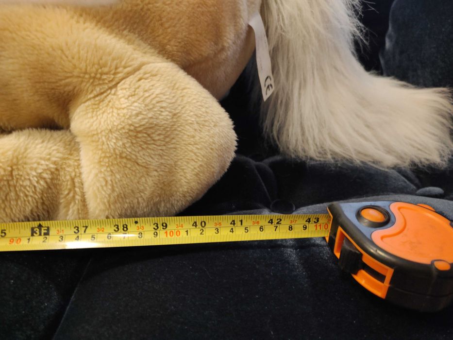 Cal urias din plus calitativ - 110 cm (1000-1200 lei la magazine) Oferta de Pasti!