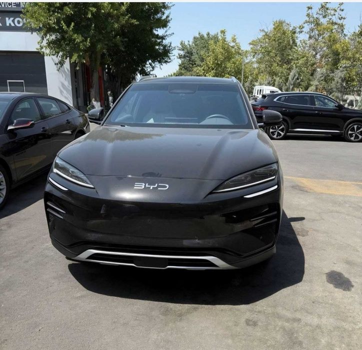 BYD Song Plus EV Champion 2025 — 2