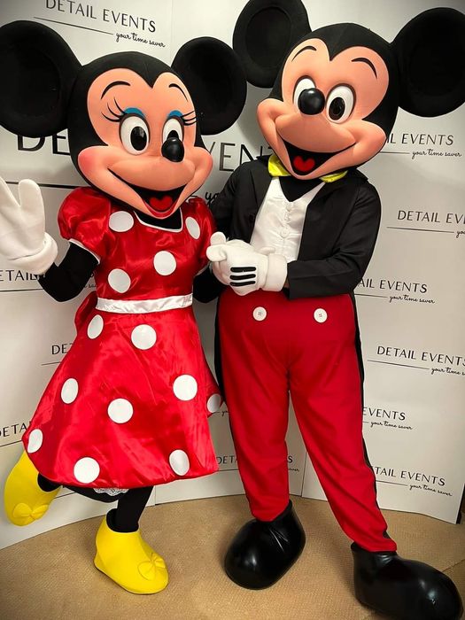 PENTRU SPECTACOLE PRIMĂRII  sau FIRME: mascote animație picturi