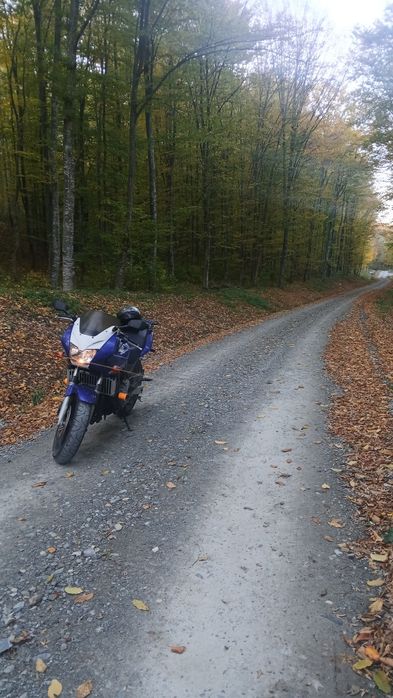 Vand Honda Hornet