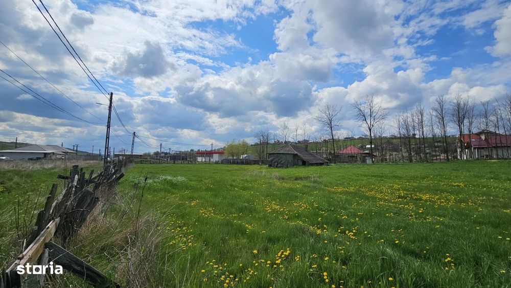 Teren 2600 intravilan mp, rond Vanatori pret negociabil!