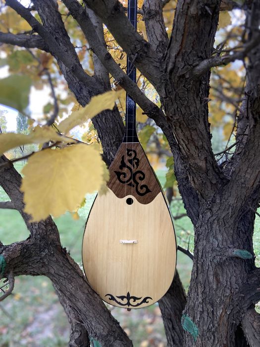 Жиде ағашынан Домбыра Домбра чехол