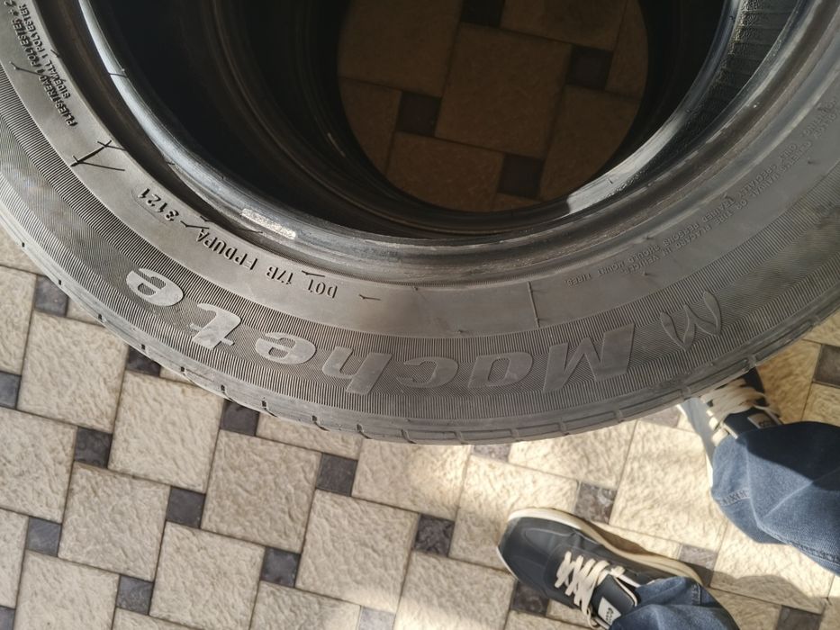 Shina r15  Machete 195ga 60