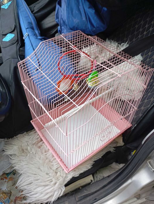 Клетка для попугаев и других птиц