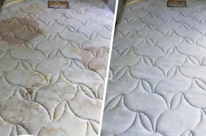 Curatare canapele saltele covorase