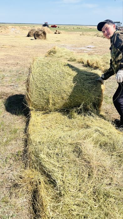 Рулон тюки разнотравие