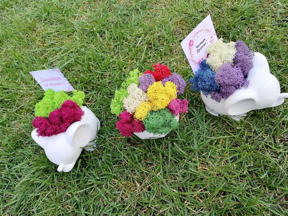 Подаръци със скандинавски мъх