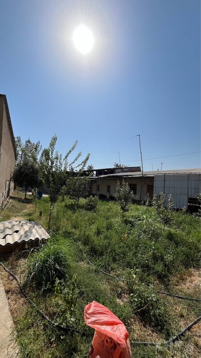 Zangi ota yerhovli sotiladi