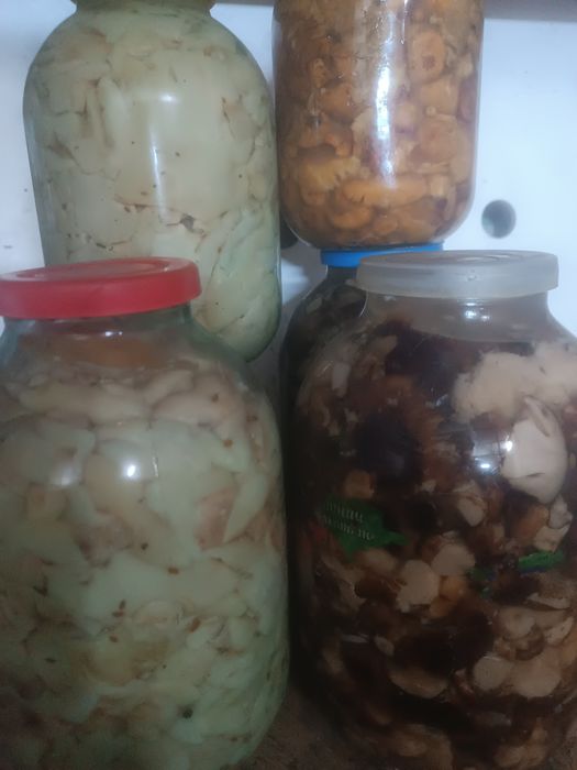 Пподам грибы соленые.