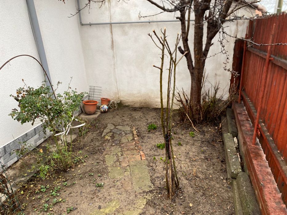 Casa de vanzare. Coiciu