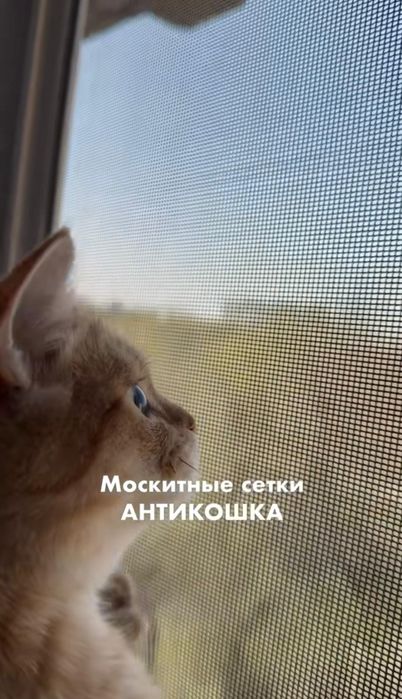 Москитные сетки АНТИКОШКА