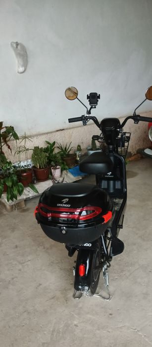 Скутер Drongo сотилади