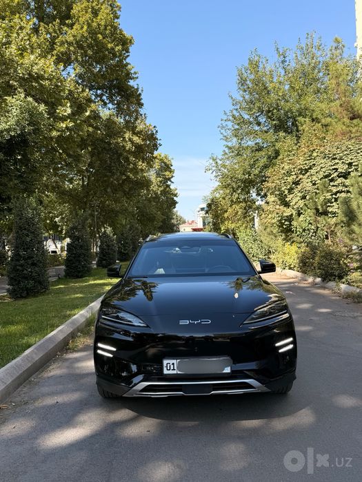 Byd chempion 605 tali full 2024 qora kraska tozza