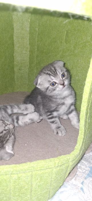 Открыто бронирование!