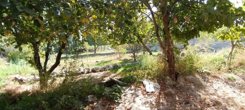 Uy joy yaxshi joylar suv svet gaz momo yo'q