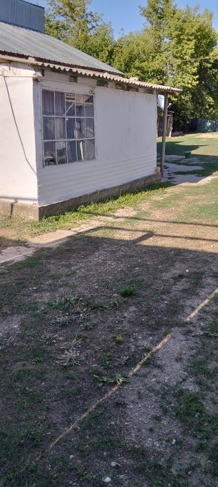 Срочно сатылады колбастауда евгенивка