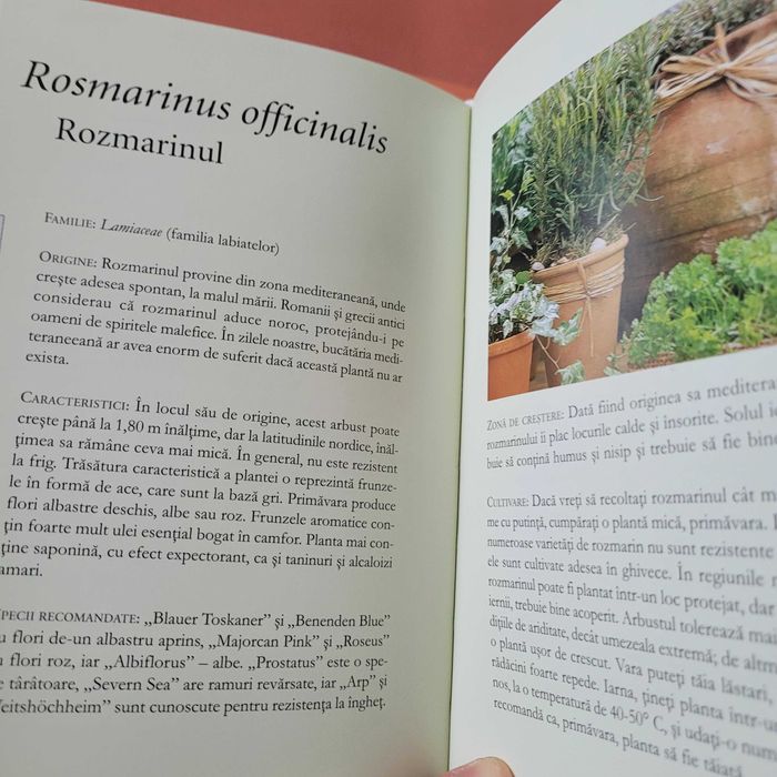 Pachet 5 cărți Dictionarul Dumont