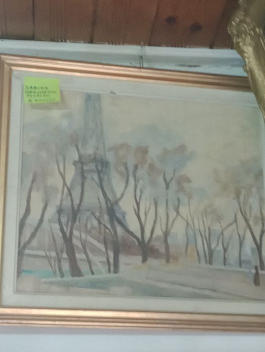 Tabloui.Sabina Negulescu Florian.Ileana Micodin.