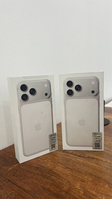 17 pro max silver