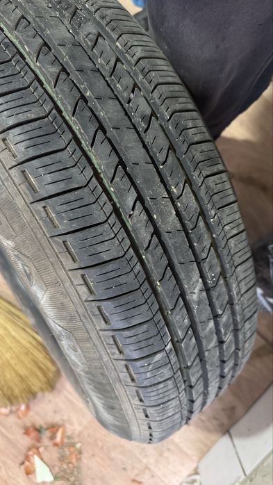 Ргопоттлллддлддьтрррм1(6)