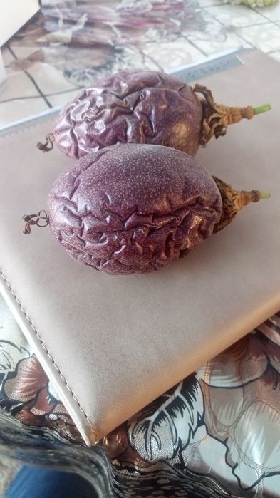 Маракуйя 3х сортов , маракуйя северная, маракуйя королевская "предзака