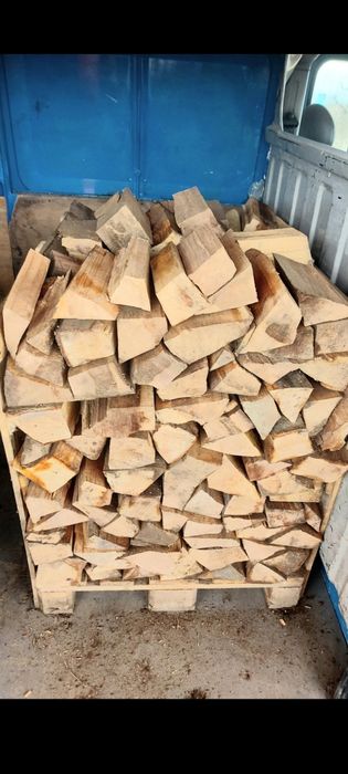 Vind Lemne de foc USCATE Fag Paletat