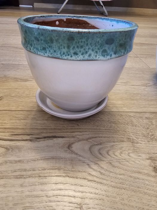 Саксии пластмасови и порцеланови