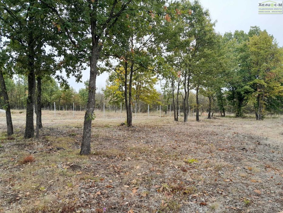 Парцел в местност Расника до яз.Огоста, гр.Монтана