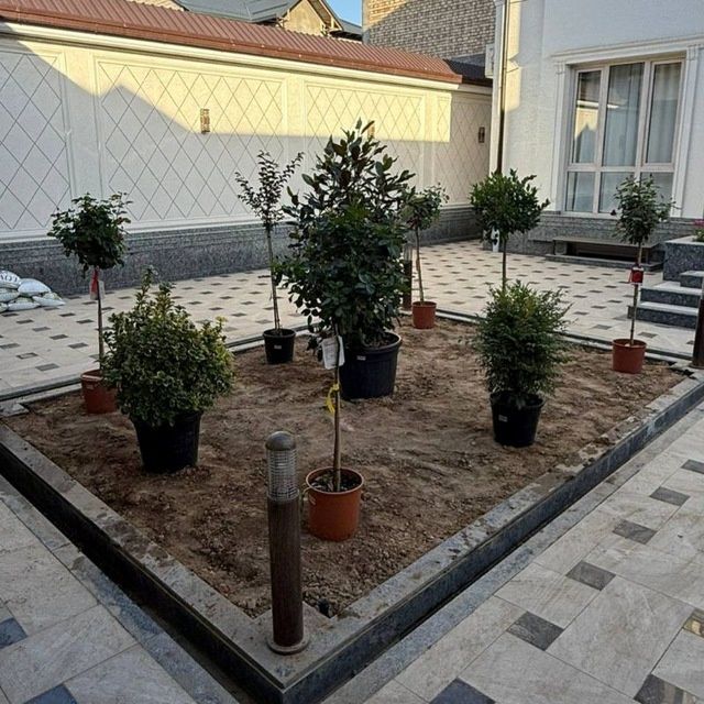 Arch gul dekratif daraxtlar ekish gazon ekish