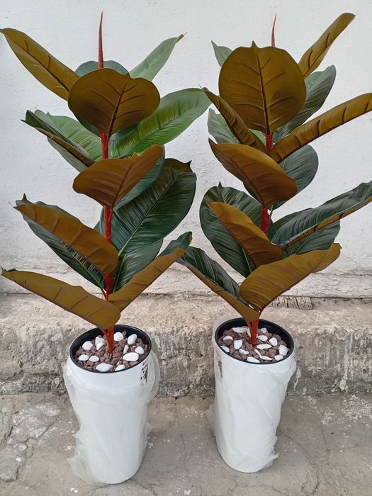 Нархлари 160 мингдан бошлаб. Декоратив суний гуллар. Ассортимент мавжу