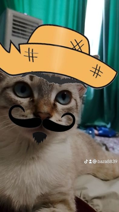 Нежная малышка ищет дом