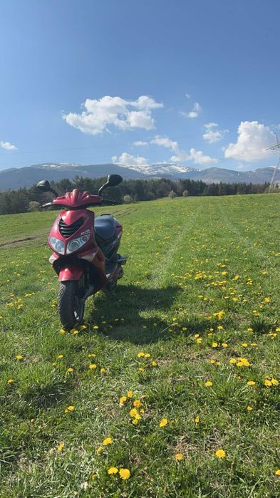 Пежо спийтфайт 100