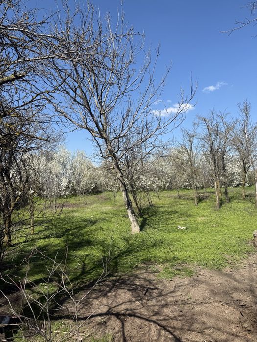 Casa locuibila la tara