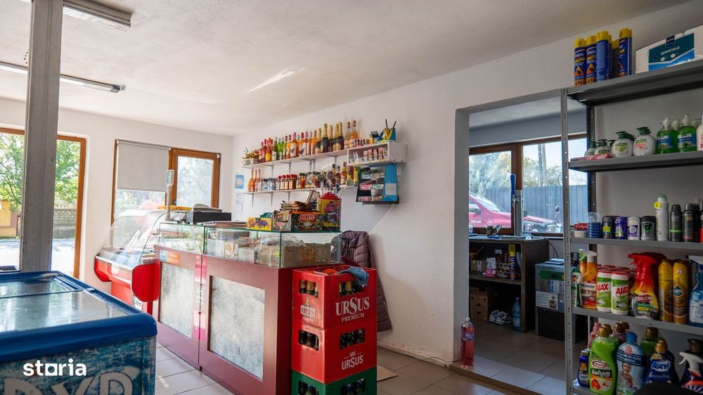 Vanzare vila si spațiu comercial, gradina si garaj-zona Corbii Mari