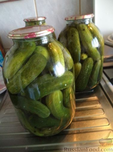 Продам огурцы маринов
