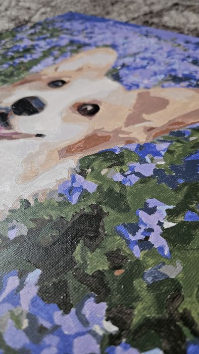 Tablou pictat pe numere - Corgi (40x50cm)