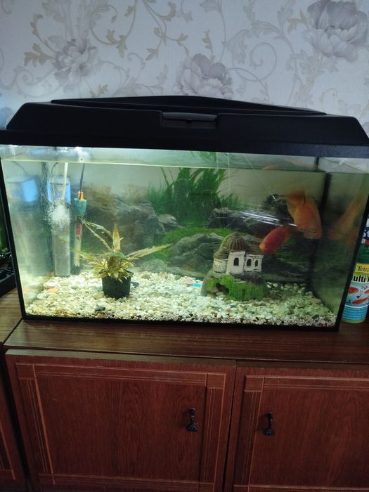 Аквариум 100 л Аквариум 100л.
