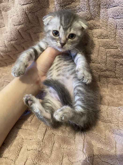 Обмен на планшет